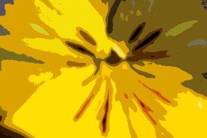 Kentsel Bloom